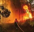 Camagüey se prepara para posibles incendios forestales